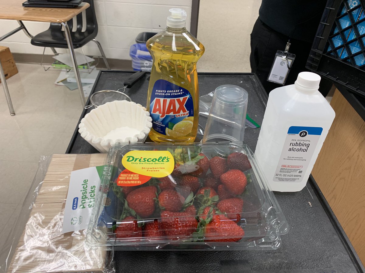 fhenderson1908's tweet photo. Today's 7th grade science PLC was sweet... literally! 🍓 Teachers dove into lesson internalization and modeled a Strawberry DNA lab they’ll be using with students tomorrow. It was a blast!  🖤💛 @MerriweatherEDU @SuttonCougars https://t.co/t3AqMcSy99