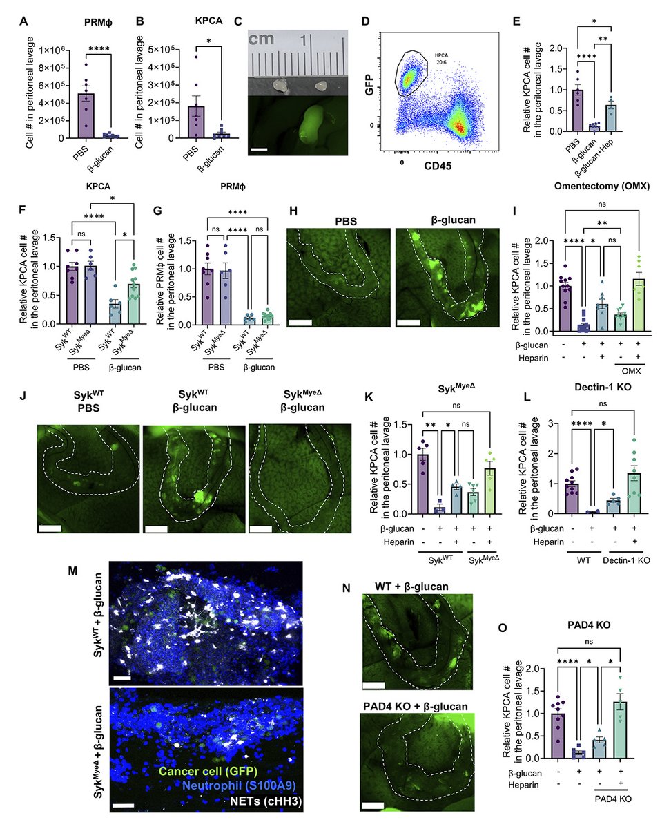 Journal of Experimental Medicine tweet media