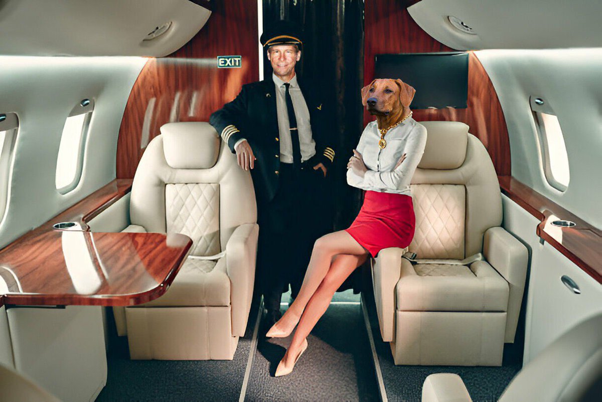 Hal just told me that $100k Bitcoin is only the beginning…

Higher.