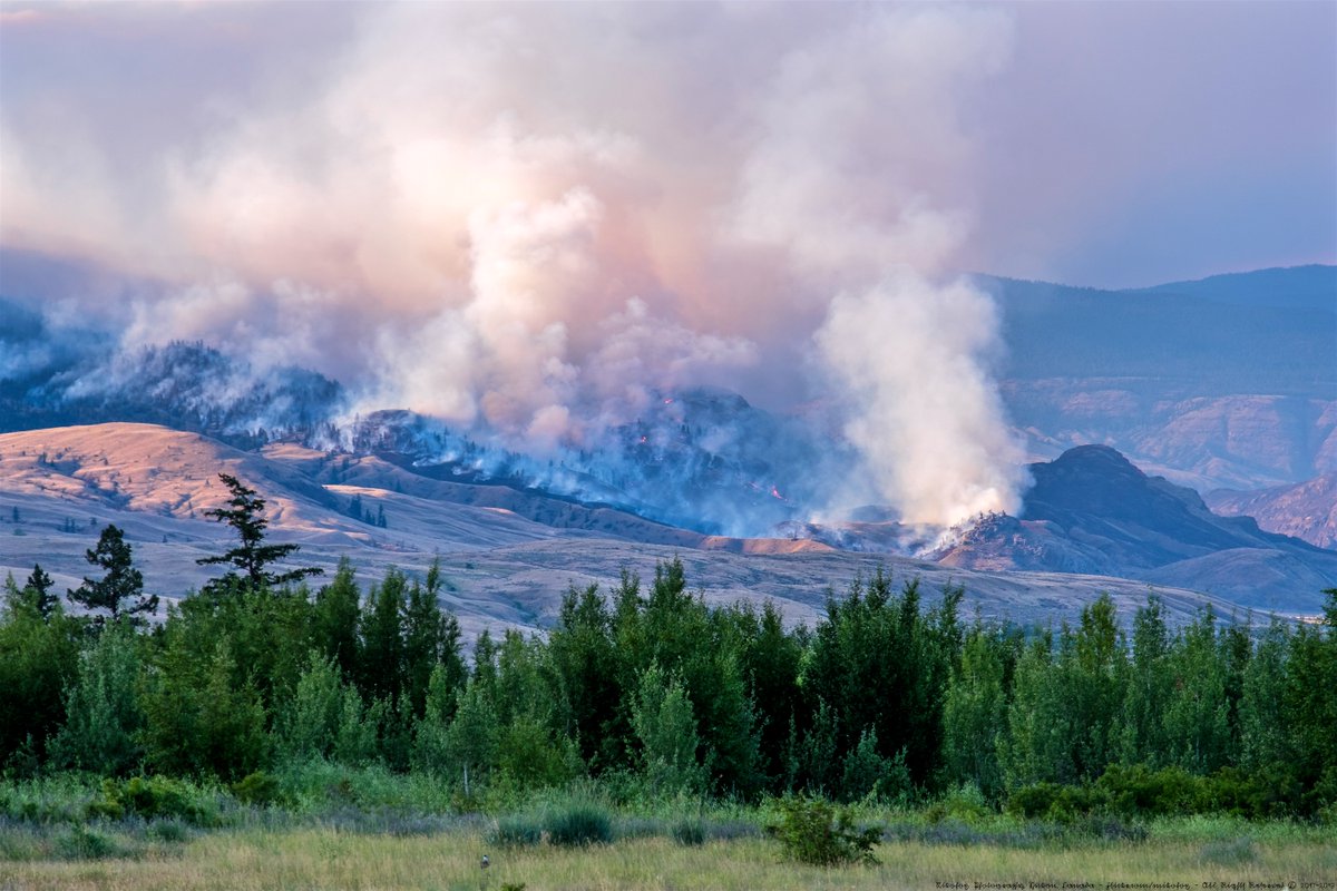 Impact Ethics tweet media