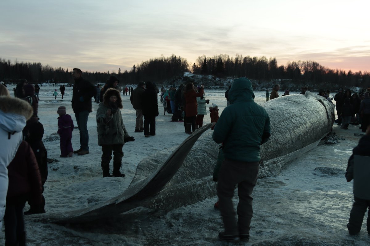 Wesley Early tweet media