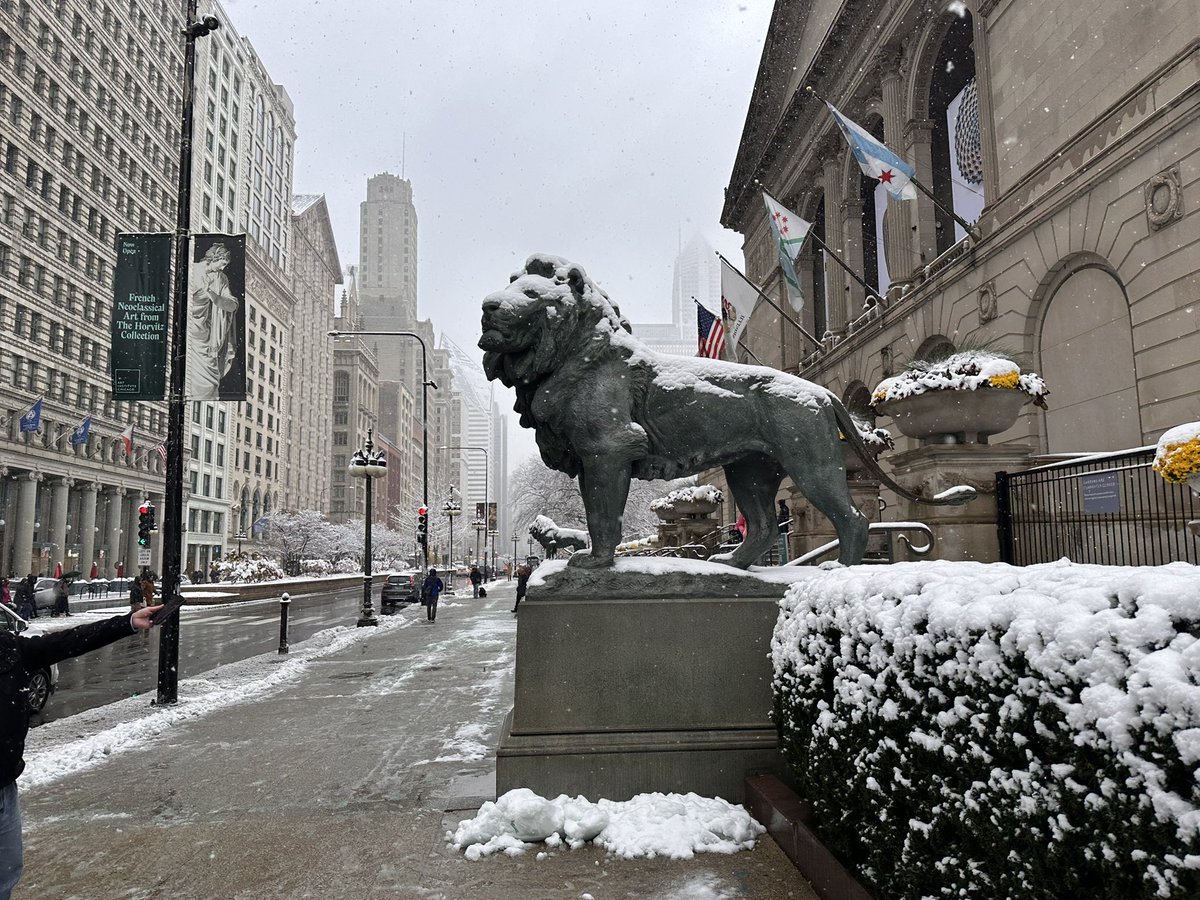 The first real snowfall of the year in Chicago is magical
