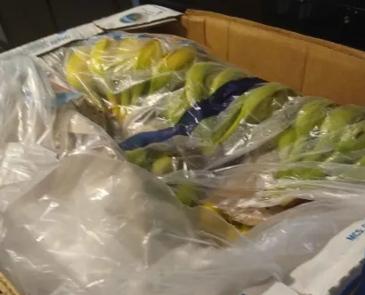 cakehatzombie's tweet photo. guys ive come arcross around 100 bananas what the fuck do i do https://t.co/rP4HT9OnZS