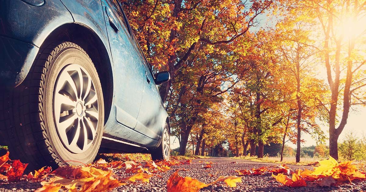 🦃 Getting ready to hit the road for Thanksgiving? Don’t forget to get an oil change before you go! A smooth-running engine and a clean car will make your travels even better. Stop by Performance Flex Serve to check it off your list, and travel safe! 🚗✨ #ThanksgivingTravel