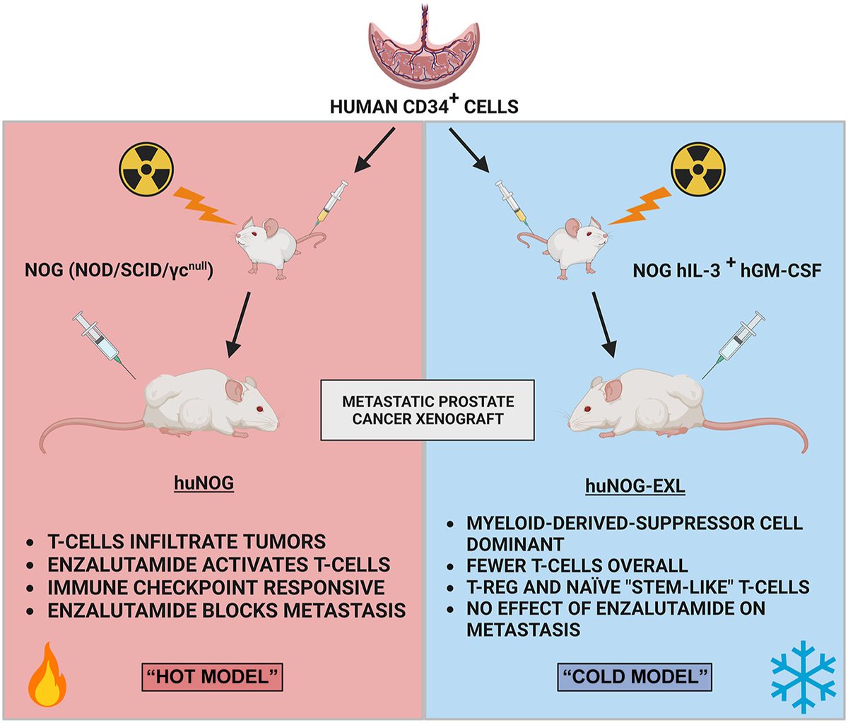Spotlight on Cancer Research Resources—
Clinically Relevant Humanized #MouseModels of #MetastaticProstateCancer Facilitate Therapeutic Evaluation.
doi.org/10.1158/1541-7…
#openaccess