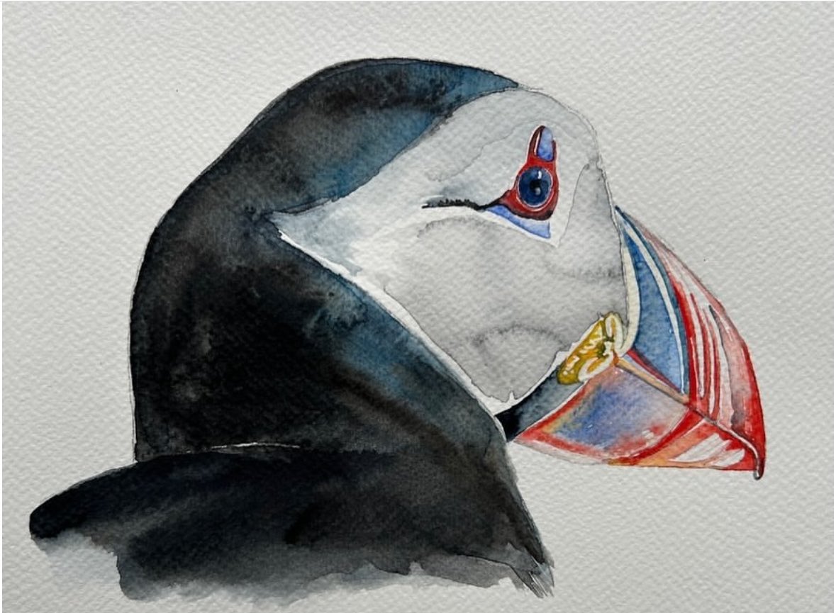 Puffins.
