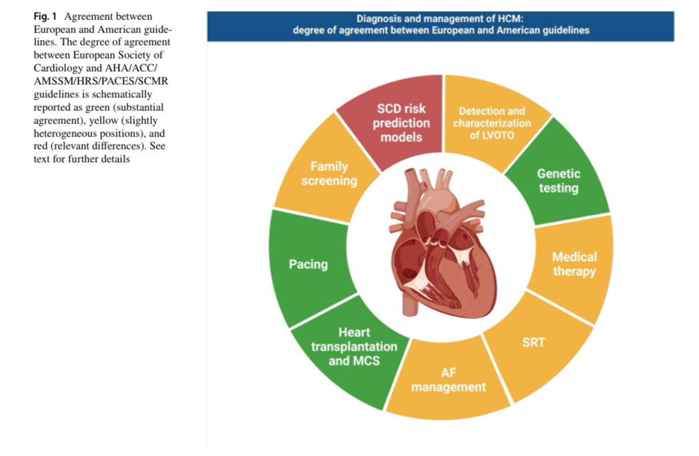 🔴 Diagnosis &amp; management of HCM: European vs. American guidelines #CardioEd #cardiology #CardioTwitter