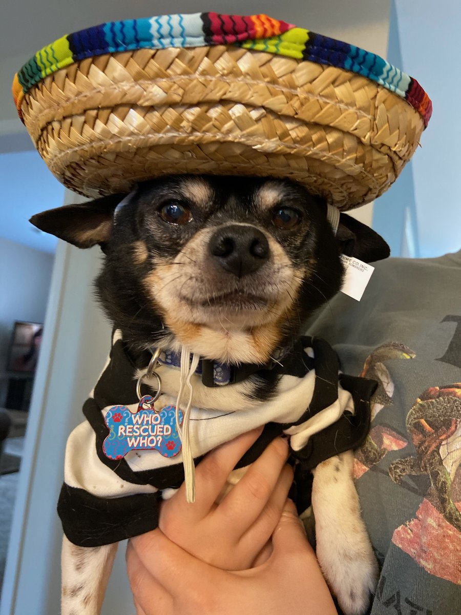 John Manion tweet media