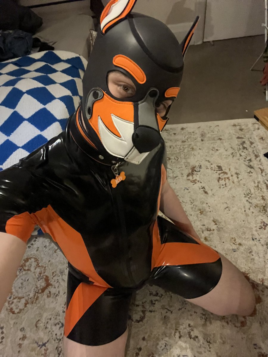 Pup Kit 🪷 tweet media