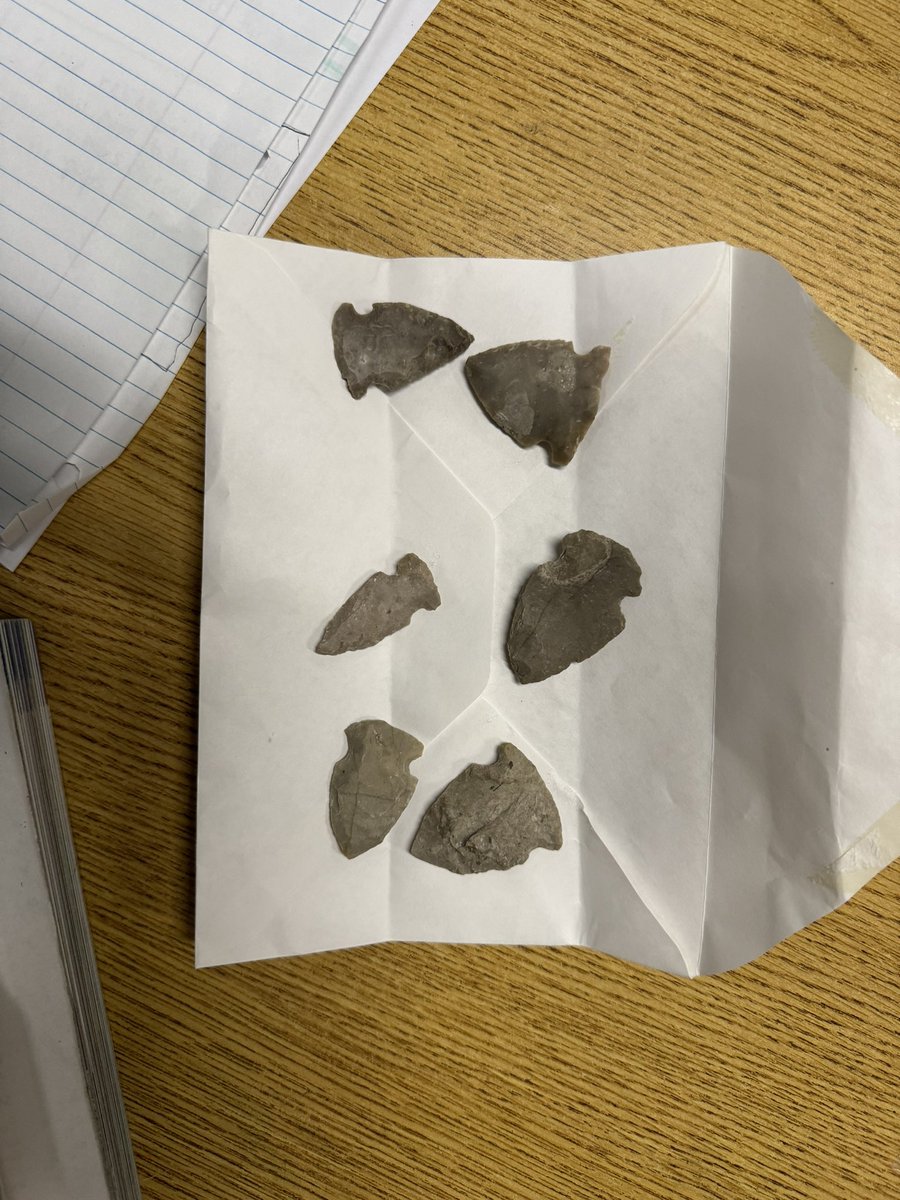 AlvaradoTeach tweet media