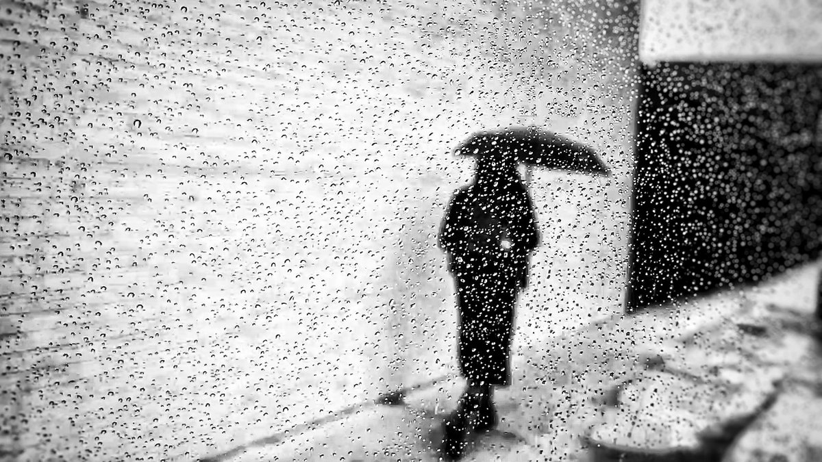 storyrd's tweet photo. Thursdayโs Gloom / Philadelphia / #blackandwhite #streetphotography #theumbrellaproject / ๐ท @storyrd https://t.co/npgYfvFM3F