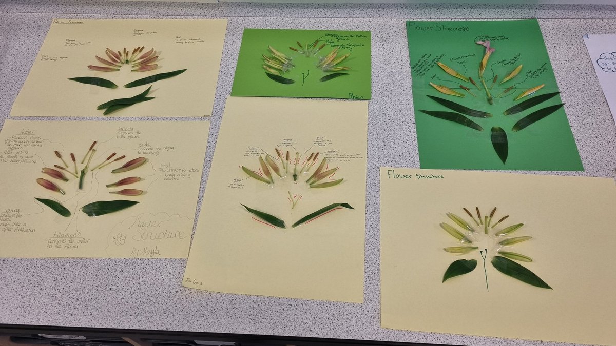 MrCharters tweet media