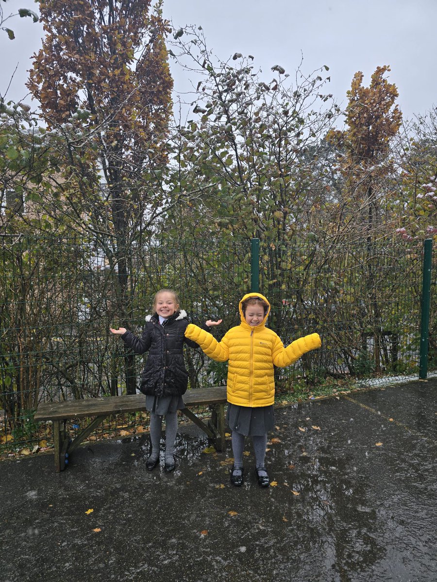 King's Park Academy tweet media