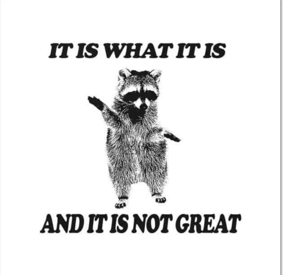 raccoon aesthetic. (@raccoonesthetic) on Twitter photo 