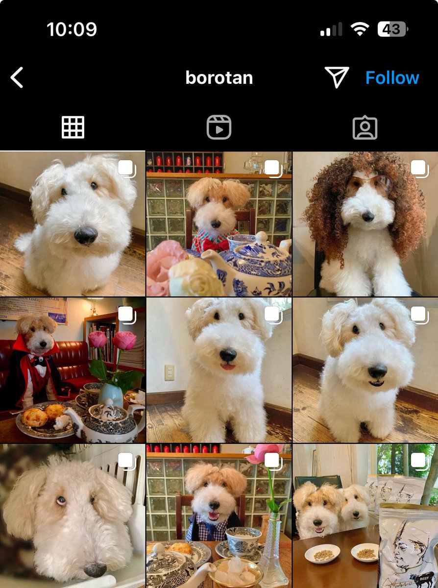 borotancoin's tweet photo. Bro is cute and ready (and real) and you're fading??? https://t.co/pOLb5Ny3oU