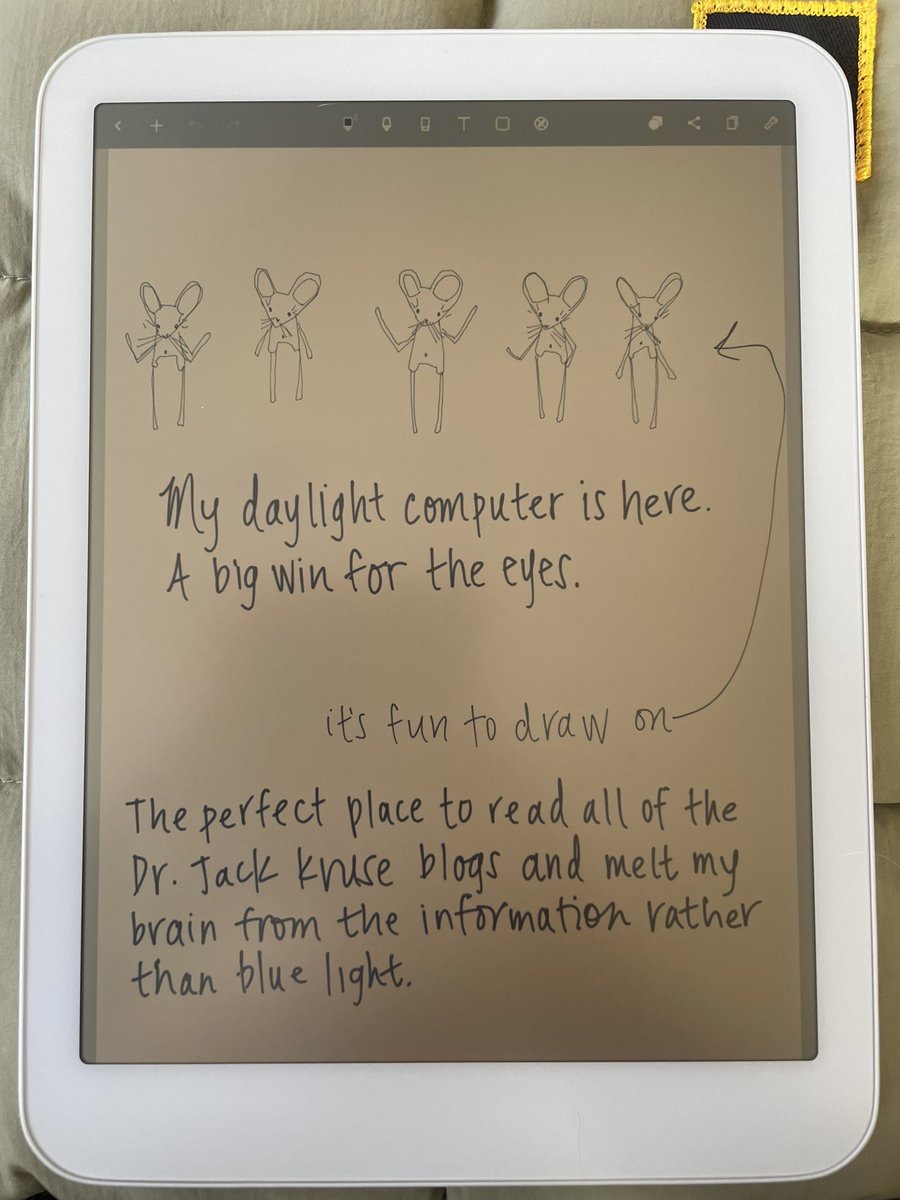 Daylight computer.  <a href="/daylightco/">daylight</a>