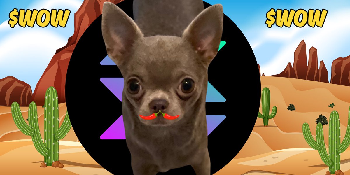 ChiWow Coin - $WOW tweet media