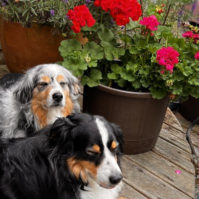 #NewProfilePic