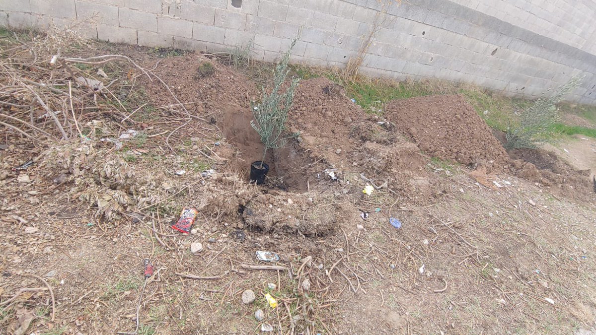 Okulumuzun bahçesi ilçemizin değeri zeytin fidanları ile artık daha yeşil.
<a href="/Gaziantep_MEM/">Gaziantep İl Millî Eğitim Müdürlüğü</a> <a href="/erdalkilinc27/">Dr.Erdal KILINÇ</a> 
<a href="/NizipilceMEM/">Nizip İlçe Milli Eğitim Müdürlüğü</a> @Cgnde 
<a href="/Muratt_Kilic44/">murat kılıç</a> <a href="/cevdetarslan33/">Cevdet Arslan</a>