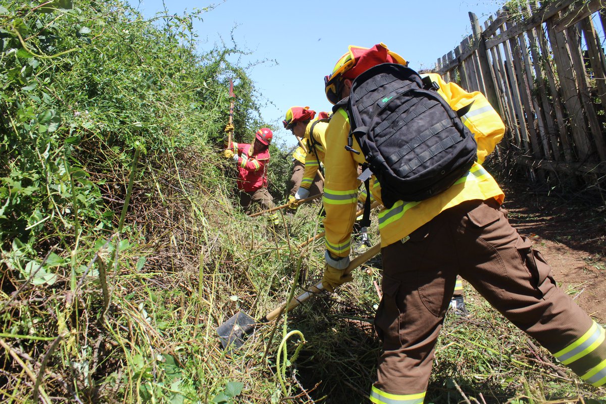 En la población René Schneider de #Chorrillos, en #ViñaDelMar, realizamos una nueva jornada educativa sobre manejo de vegetación para prevenir y mitigar #IncendiosForestales
➡️Junto a residentes, <a href="/vinadelmar/">Municipio de Viña del Mar</a> y 7ma Cía de #Bomberos construimos 100m de cortafuegos para proteger🏡