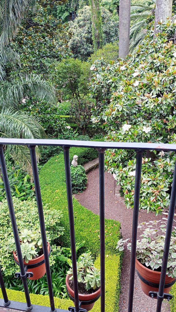 Mi balcón en el <a href="/MuseoLarreta/">Museo de Arte Español Enrique Larreta</a> 
💐🌷🌸