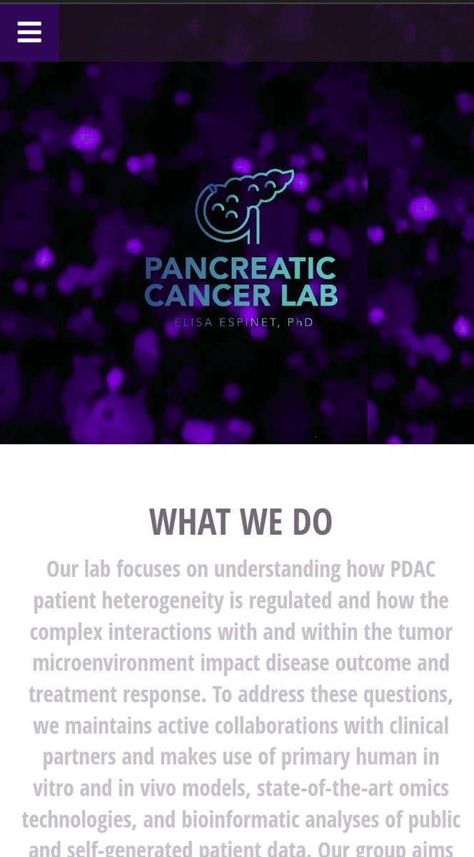 Hoy es el día mundial del cáncer de páncreas 💜 En uestra página web puedes conocernos un poco más y saber lo que hacemos en el lab. Y si quieres contribuir con nuestra investigación  no dudes en contactarnos! Solo juntos podemos! 👩🏻‍🔬💪🏻👩🏻‍🦳👩🏻‍🦱👩🏻‍🦲pancreaticcancerlab.ub.edu