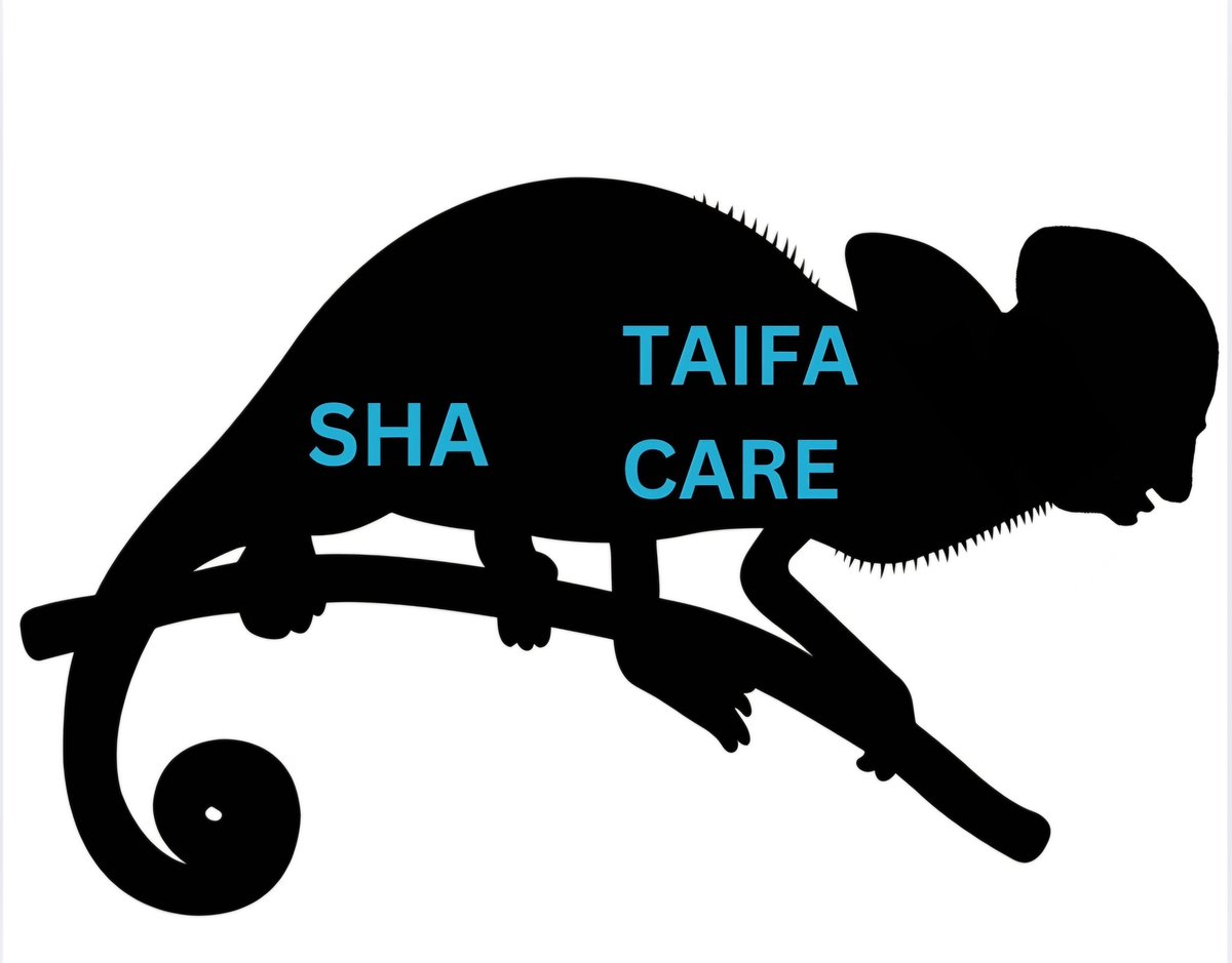 Kibet_bull's tweet image. TAIFA CARE  is just a camouflage of SHA, shakahola. It&apos;s Rvto also