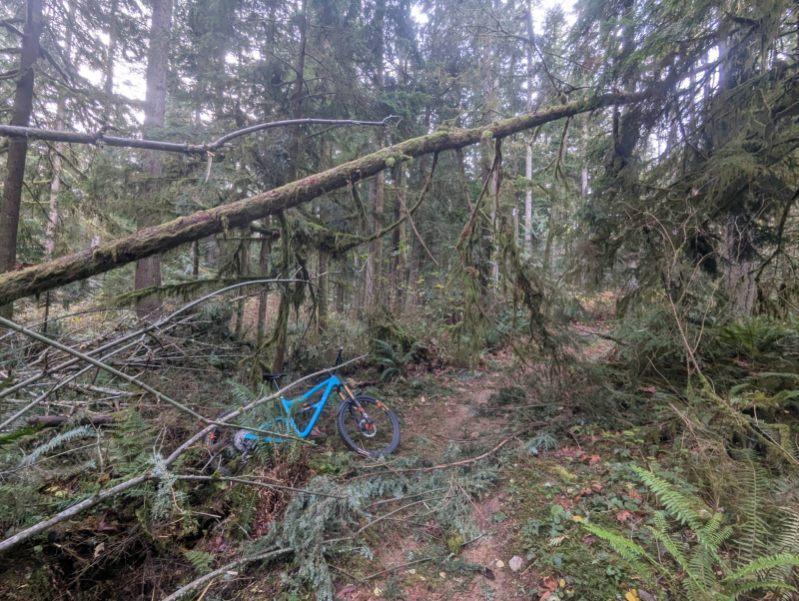 ⚠️ Duthie Hill is currently closed due to significant storm damage. 

We are coordinating with county sawyers for a hazard assessment and may proceed with scheduled work parties this weekend to assist with cleanup. Stay tuned for updates on reopening. Thank you for your patience.