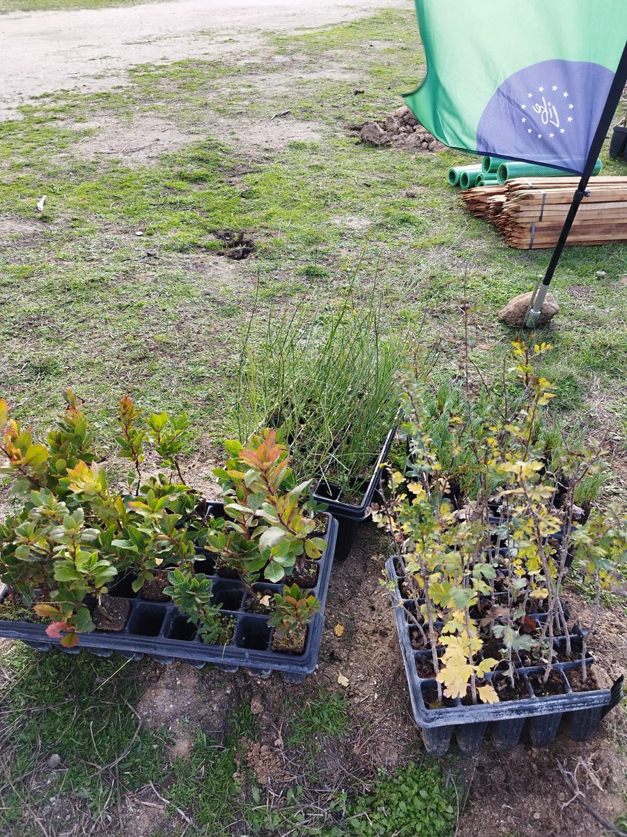 Hoy estamos en Las Rozas (Madrid), donde un grupo de alumnos del colegio Zola ha aprendido técnicas basadas en la naturaleza para avanzar en la sostenibilidad gracias al proyecto que desarrollamos con <a href="/AmazonNewsES/">Amazon.es Noticias</a>