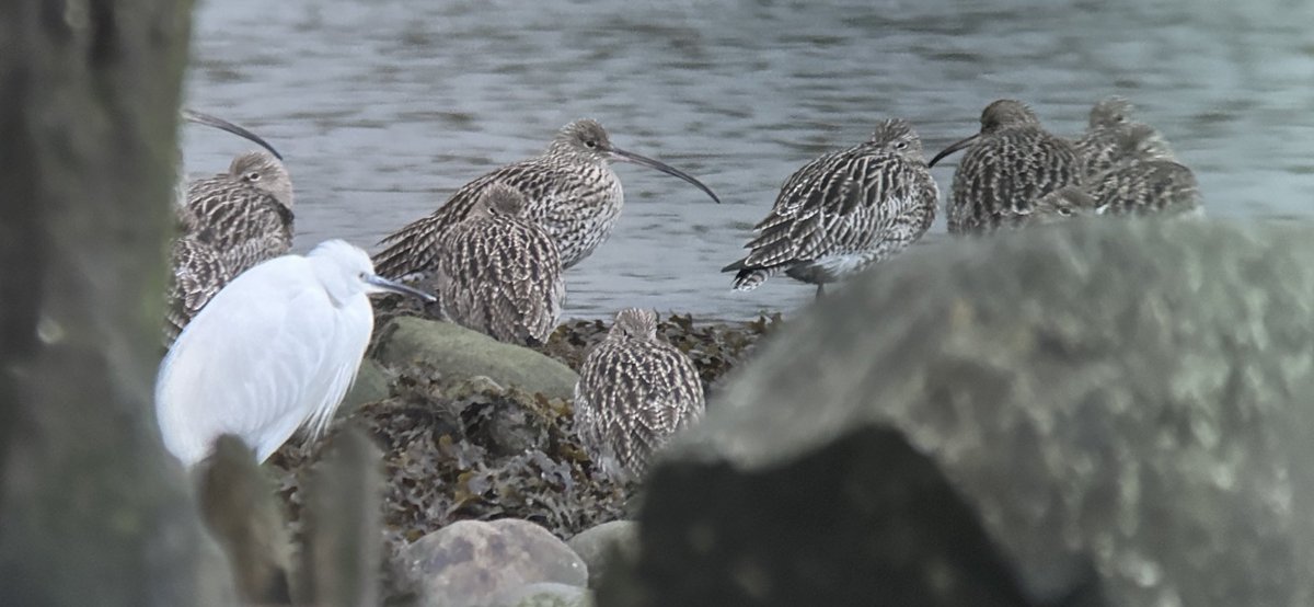 Jason Hardy tweet media