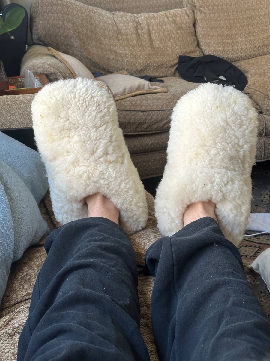 Michael Isaac Stein tweet media