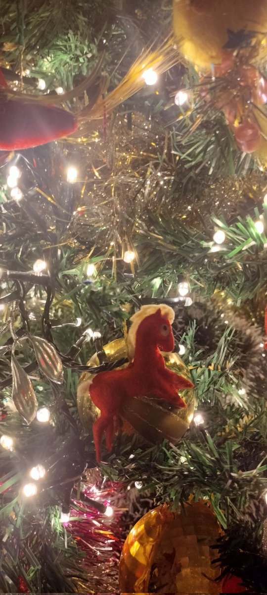 Lancelot &amp; Guinevere: the tree🎅🏻🧑🏻‍🎄🎄☃️❄️❤️ is up 🤦🏻‍♀️ and now we are obviously asking for our presents 😂