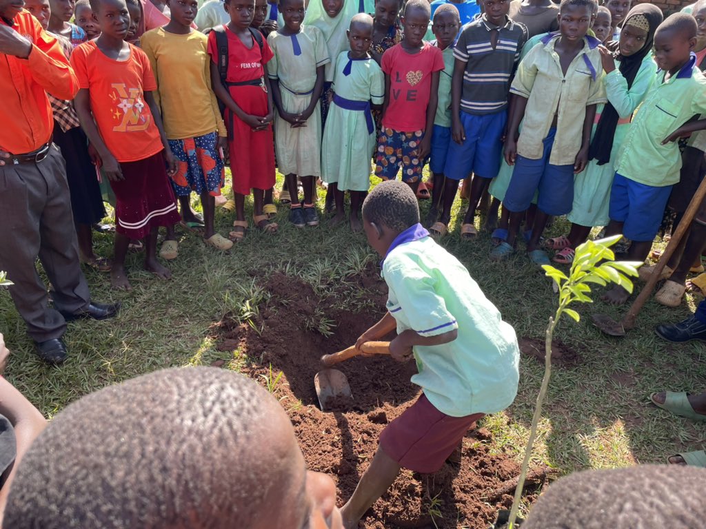 RRM_Ug's tweet photo. Today, RRM donated fruit trees to 8 schools within the Makuutu Project area. This was aimed at creating conservation consciousness among young people by planting fruit tree seedlings and sharing on their importance  and role in the environment. https://t.co/vcz0UrobwC