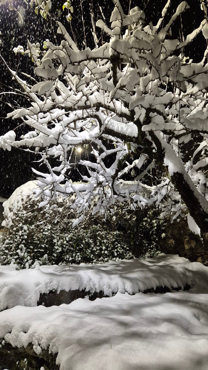 alonelystar_'s tweet photo. Alla fine ha nevicato anche dove lavoravo. 
Adesso sono arrivata a casa ed è tutto coperto di neve 😍 https://t.co/uZ5VS5EaxA