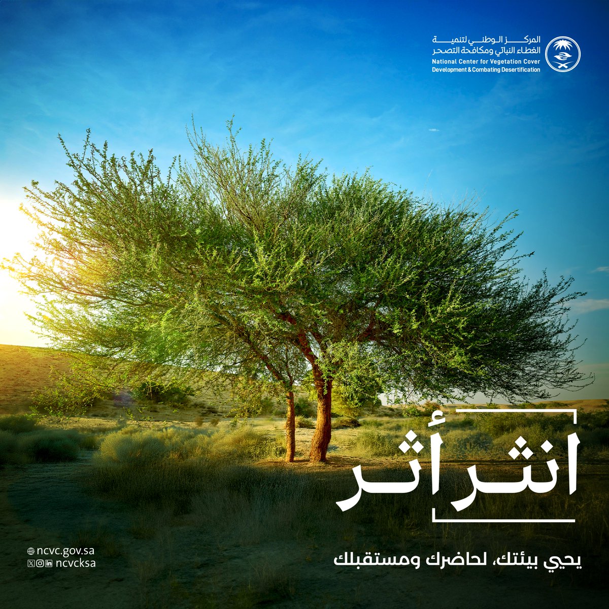 بيئتنا  أرض تمنحنا حياة، وجمالها يُلهمنا، فلنحافظ عليها لتبقى لنا دائمة.
#انثر_أثر