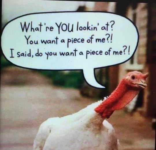 TowandaToU's tweet image. 