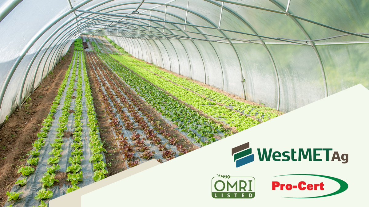 In the 2021 Census of Agriculture, 5,658 farms reported growing organic products in Canada—an increase of more than 30% from the previous census in 2016. Our humic products are OMRI-listed and certified Pro-Cert organic. Learn more about #Humalite: bit.ly/3Ro8e2Q