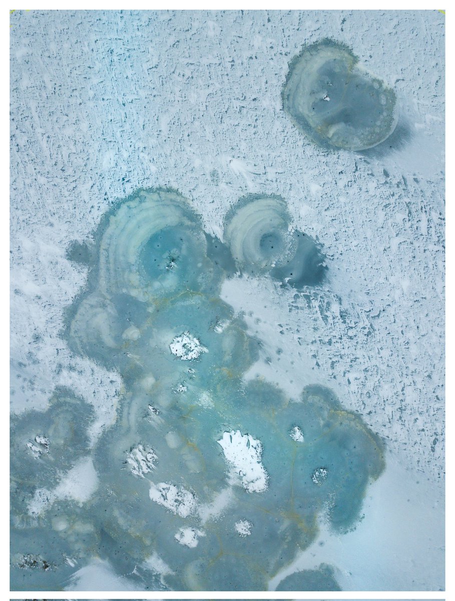 devisu_art's tweet image. Je suis sorti photographier les premières neiges ❄️