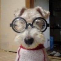 borotancoin's tweet photo. BTC hit an all-time high today and you're bearish? 

Wallahi you're finished. https://t.co/xxRSV6AkLK