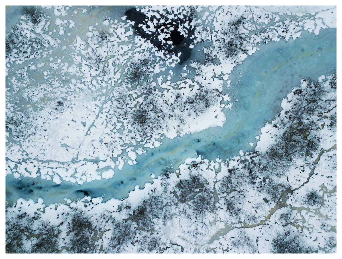 devisu_art's tweet image. Je suis sorti photographier les premières neiges ❄️