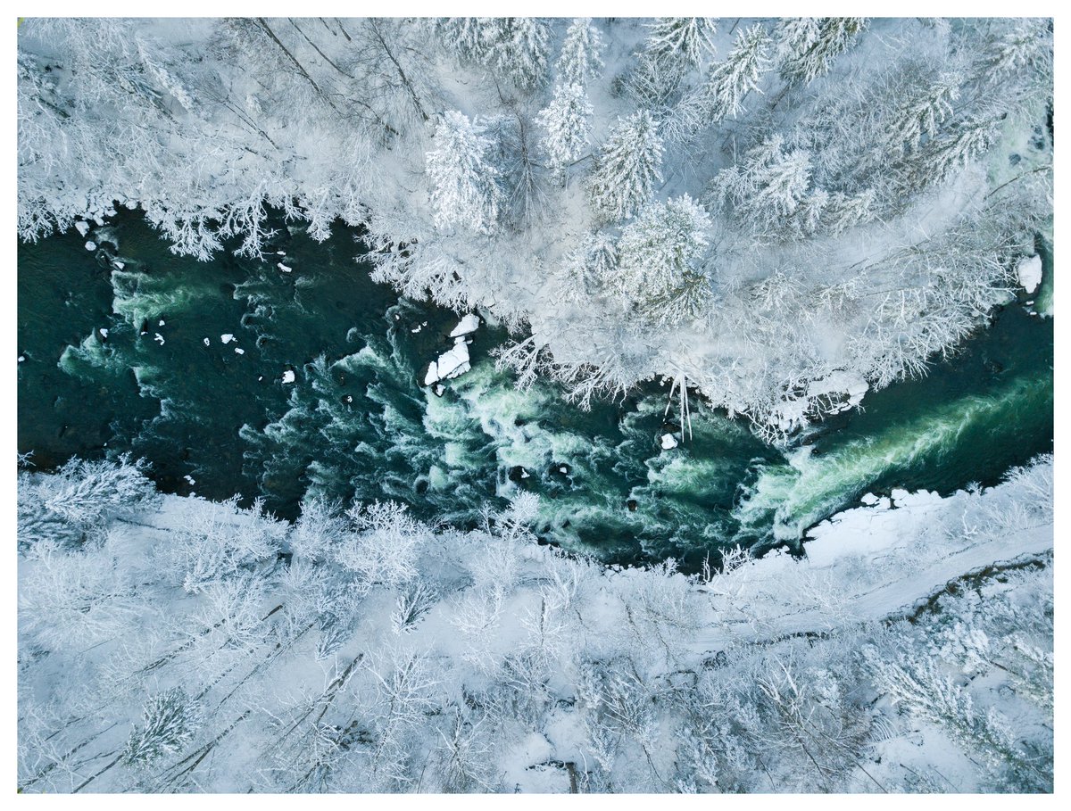 devisu_art's tweet image. Je suis sorti photographier les premières neiges ❄️