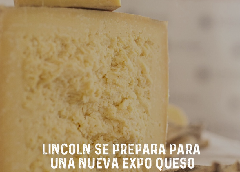 🧀Lincoln se prepara para una nueva «Expo Queso»👇

tucoweb.info/lincoln-se-pre…