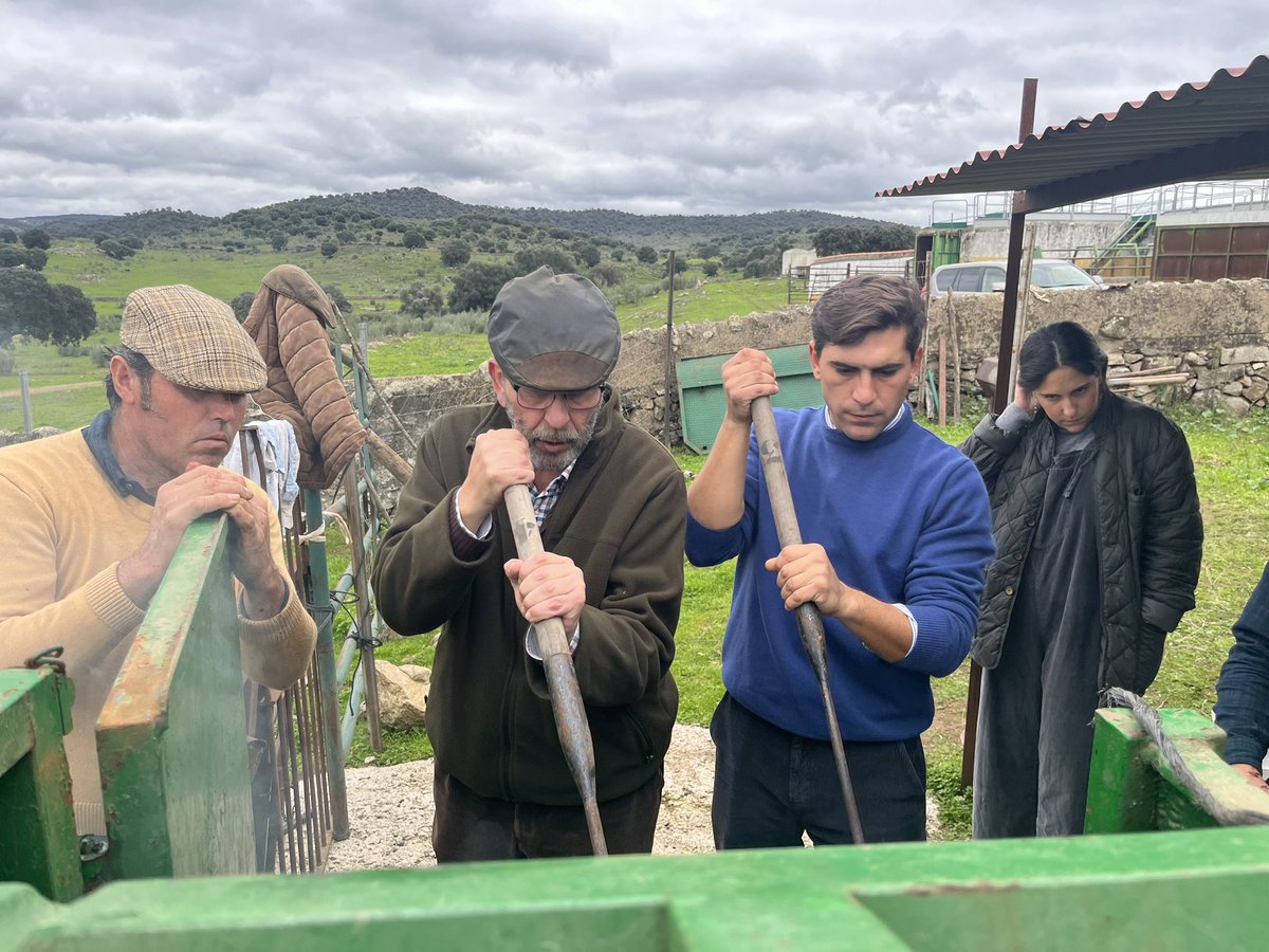 condecorte's tweet image. Unos se los días marcados en Los Bolsicos