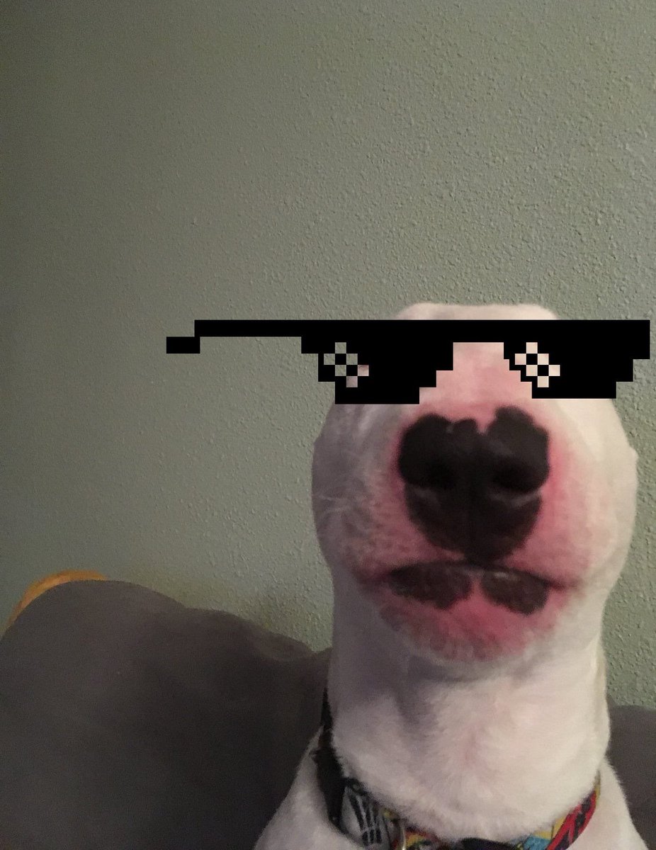 WoofDeng's tweet photo. @Cobratate I love you daddy, Im your best dog ๐ฅฐ๐ถ๐ฅ
Thanks for holding me in your wallet ๐
#WOOFDENG https://t.co/bjWAbxjRC8