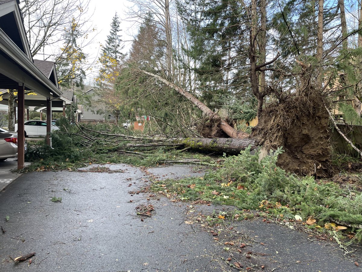 For those of you who haven’t heard, we in the Seattle area, especially here in Issaquah have been devastated by a windstorm. Two nights so far of no electricity. #Freezing.