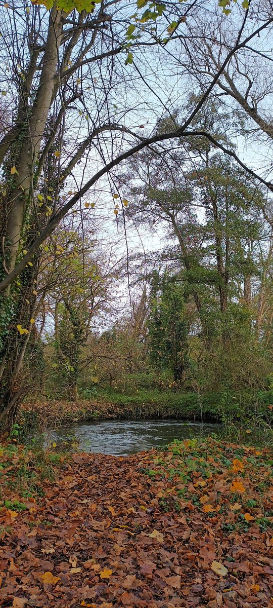 Jane Lord (@janelord68) on Twitter photo London Loop: Section 11 <a href="/LDNLoop/">London Loop</a> Well signed, but do take care - and no white shoes - as the stretch by the Ruver Colne is currently very muddy in places. London Loop: Section 11 <a href="/LDNLoop/">London Loop</a> Well signed, but do take care - and no white shoes - as the stretch by the Ruver Colne is currently very muddy in places.