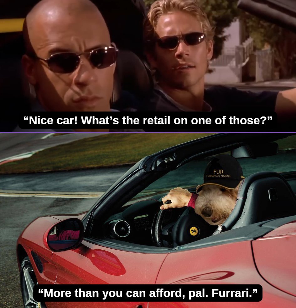 fur-nancial advisor tweet media