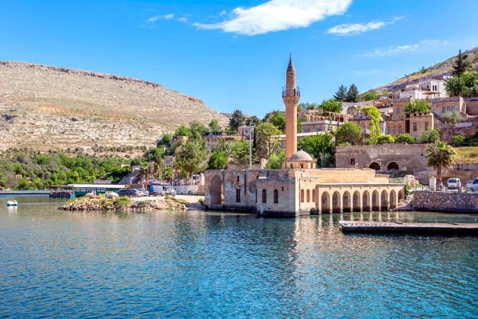 Herkes sanal yalancı dolandırıcı olmuş ciddi kimse yok mu buluşalım bişeyler yaşayalım #travesti #anteppasif #urfapasif #evliçit #seks #shemale #antepbayan #antepescort urfaseks