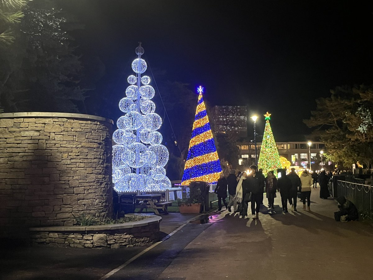 BrainyNewSexySH's tweet image. Christmas Tree Wonderland! ❤️ 🌲 🎁 #Bournemouth #ChristmasTreeWonderland #ChristmasLights #Christmas