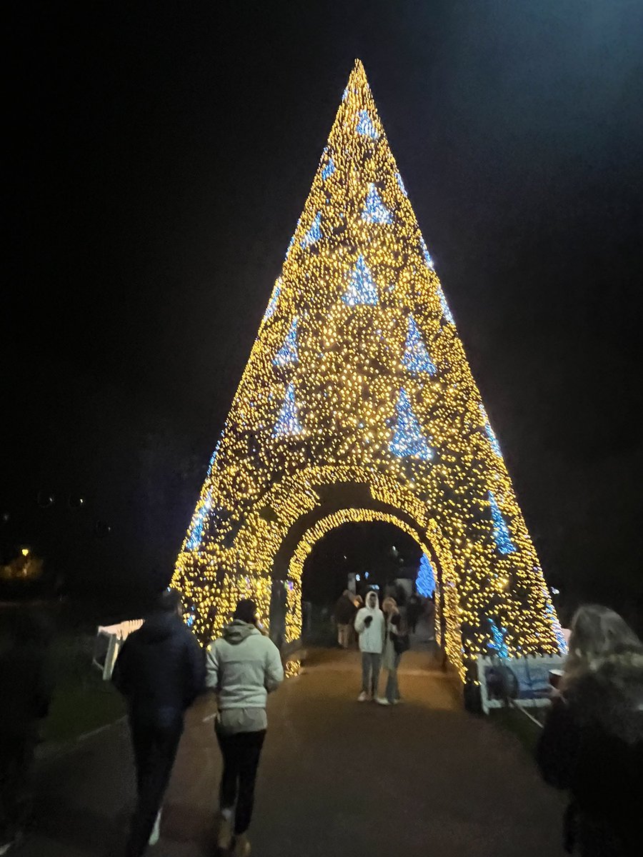 BrainyNewSexySH's tweet image. Christmas Tree Wonderland! ❤️ 🌲 🎁 #Bournemouth #ChristmasTreeWonderland #ChristmasLights #Christmas